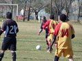 AFUCO_FINAL_APERTURA2013 063