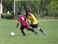AFUCO2FA2013 062