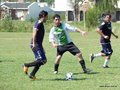 AFUCO2FA2013 018