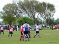 AFUCO3FA2013 008