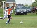 AFUCO3FA2013 041