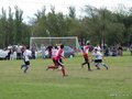 AFUCO3FA2013 003