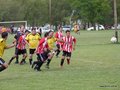 AFUCO3FA2013 088