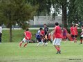 AFUCO3FA2013 010