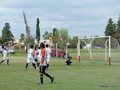 AFUCO3FA2013 033