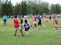 AFUCO3FA2013 024