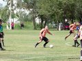 AFUCO4FA2013 040