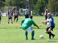 AFUCO4FA2013 030