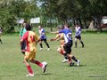 AFUCO4FA2013 020