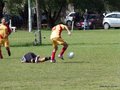 AFUCO4FA2013 012