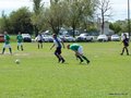 AFUCO4FA2013 031