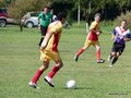 AFUCO4FA2013 009
