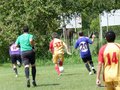 AFUCO4FA2013 010