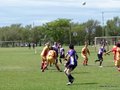 AFUCO4FA2013 013