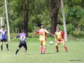 AFUCO4FA2013 018
