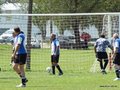 AFUCO4FA2013 035