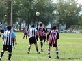 AFUCO4FA2013 051