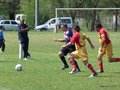 AFUCO4FA2013 021