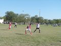 AFUCO5FA2013 028
