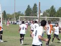 AFUCO5FA2013 043