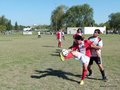 AFUCO5FA2013 025