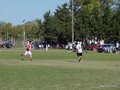 AFUCO5FA2013 033