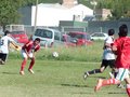 AFUCO5FA2013 034