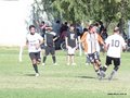 AFUCO5FA2013 044