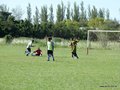 AFUCO6FC2013 125