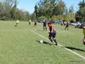 AFUCO6FC2013 078