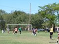 AFUCO6FC2013 115