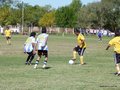 AFUCO6FC2013 064