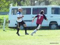 AFUCO6FC2013 100