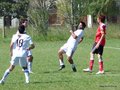 AFUCO6FC2013 016