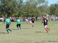AFUCO6FC2013 049