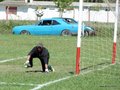 AFUCO6FC2013 031