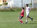 AFUCO6FC2013 013