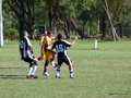 AFUCO7FA2013 027