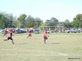 AFUCO7FA2013 016