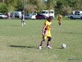 AFUCO7FA2013 031