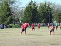 AFUCO7FA2013 007