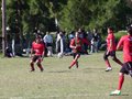 AFUCO7FA2013 005