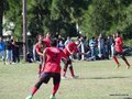AFUCO7FA2013 006