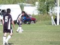 AFUCO7FA2013 023