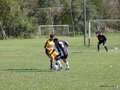 AFUCO7FA2013 033