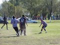 AFUCO7FA2013 014