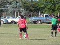 AFUCO7FA2013 009