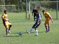 AFUCO7FA2013 034