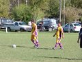 AFUCO7FA2013 028