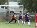 AFUCO9FA2013 006